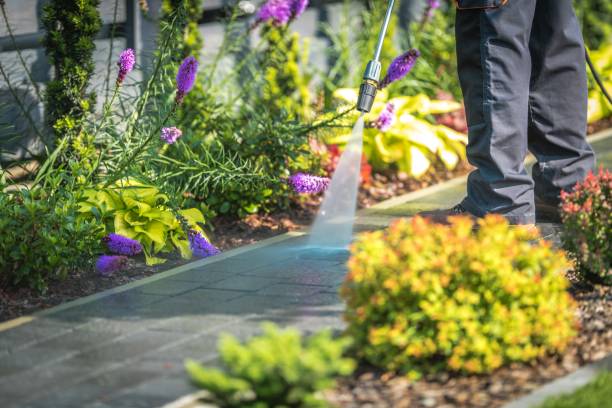 Best Spring Cleaning  in High Point, FL